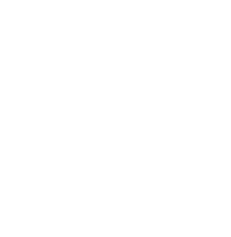 40Tons logo